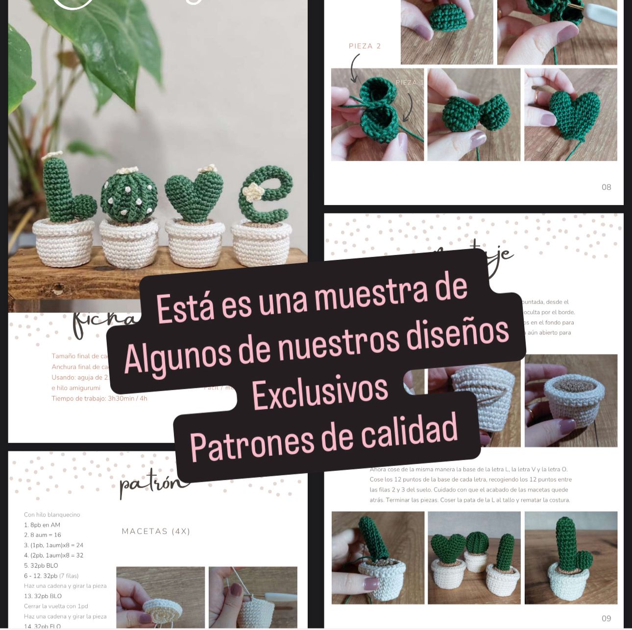 Calidad de Colección de más de 200 Patrones de Flores Eternas en Crochet